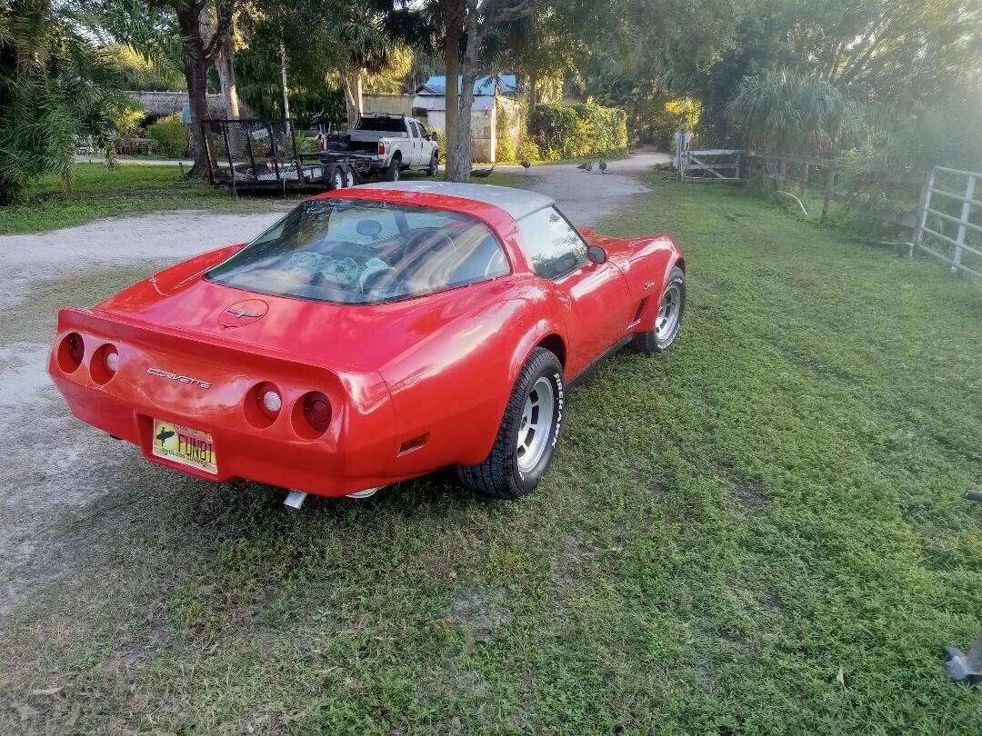 Chevrolet-Corvette-Coupe-1981-3