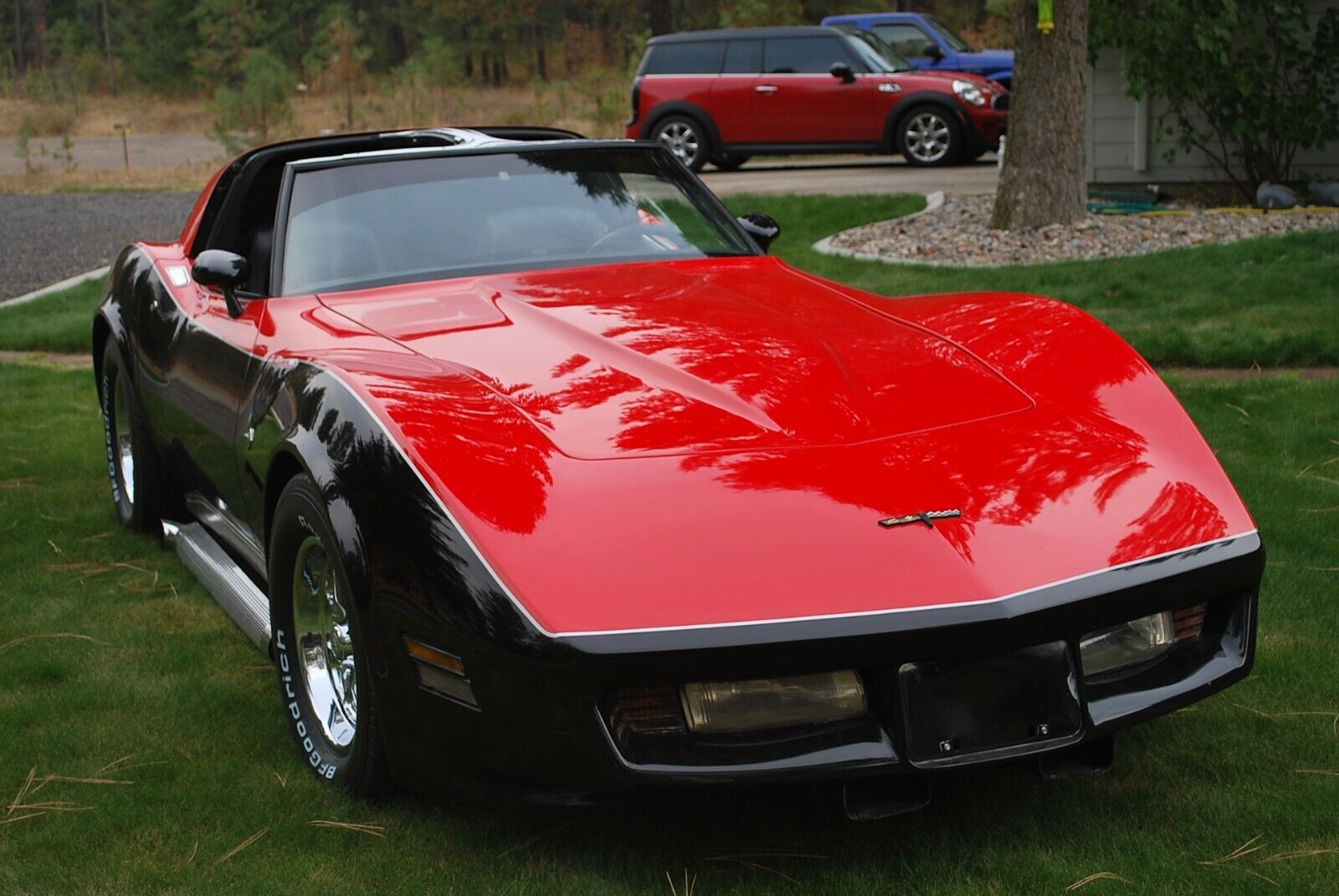 Chevrolet-Corvette-Coupe-1981-3