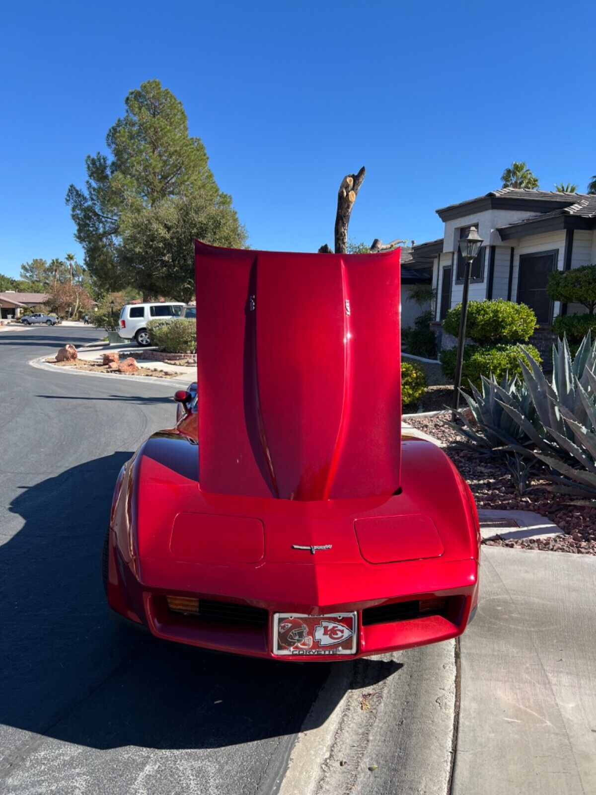 Chevrolet-Corvette-Coupe-1981-3