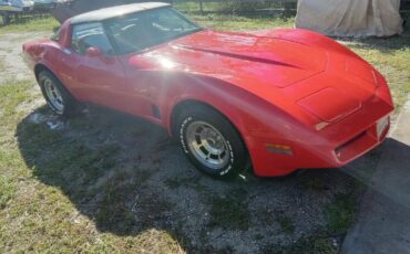 Chevrolet-Corvette-Coupe-1981-4