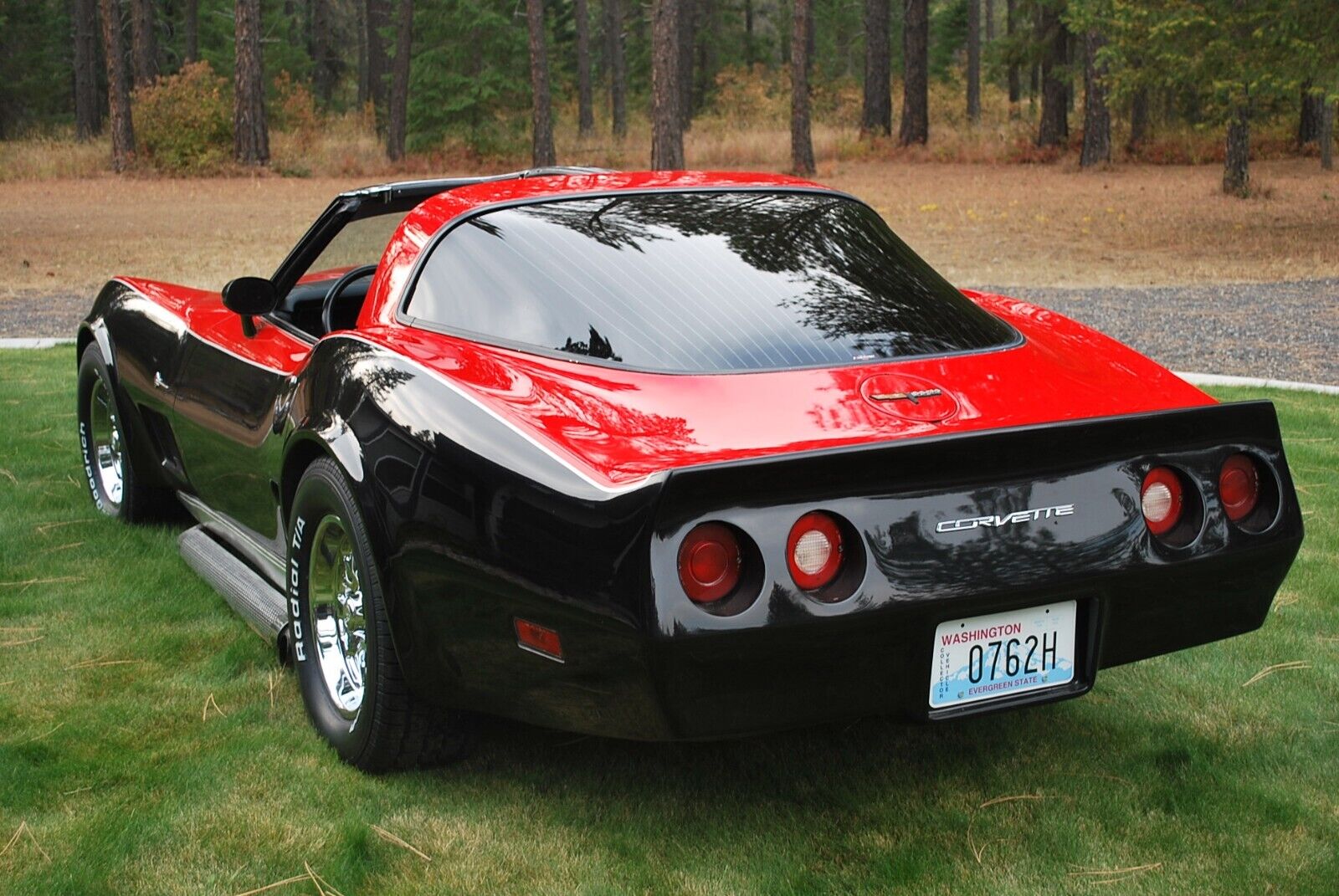 Chevrolet-Corvette-Coupe-1981-5