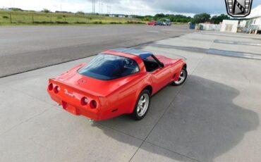 Chevrolet-Corvette-Coupe-1981-8