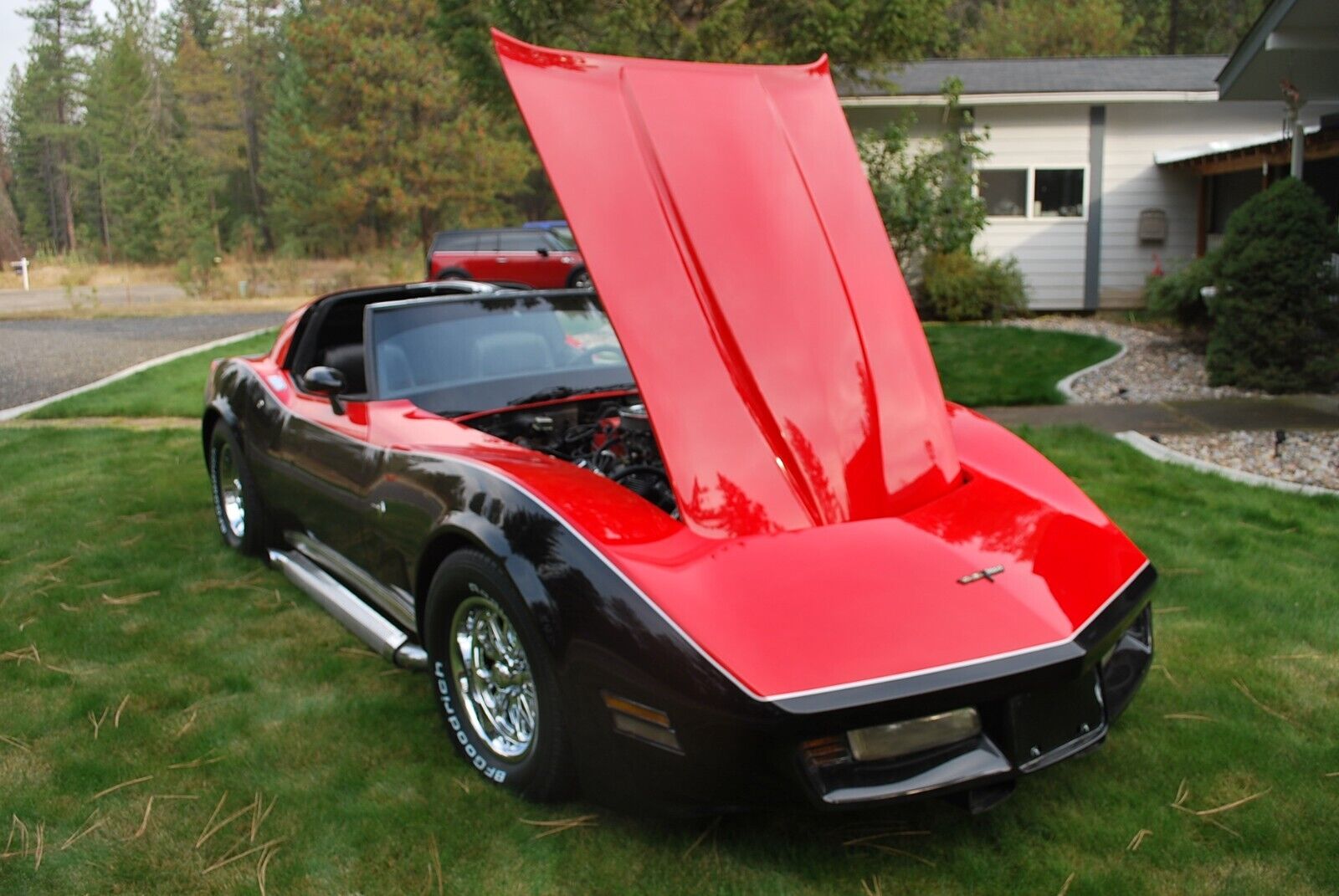 Chevrolet-Corvette-Coupe-1981-8