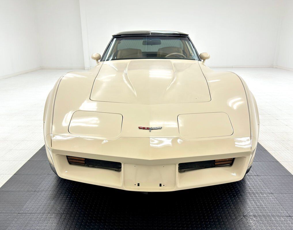 Chevrolet-Corvette-Coupe-1981-8