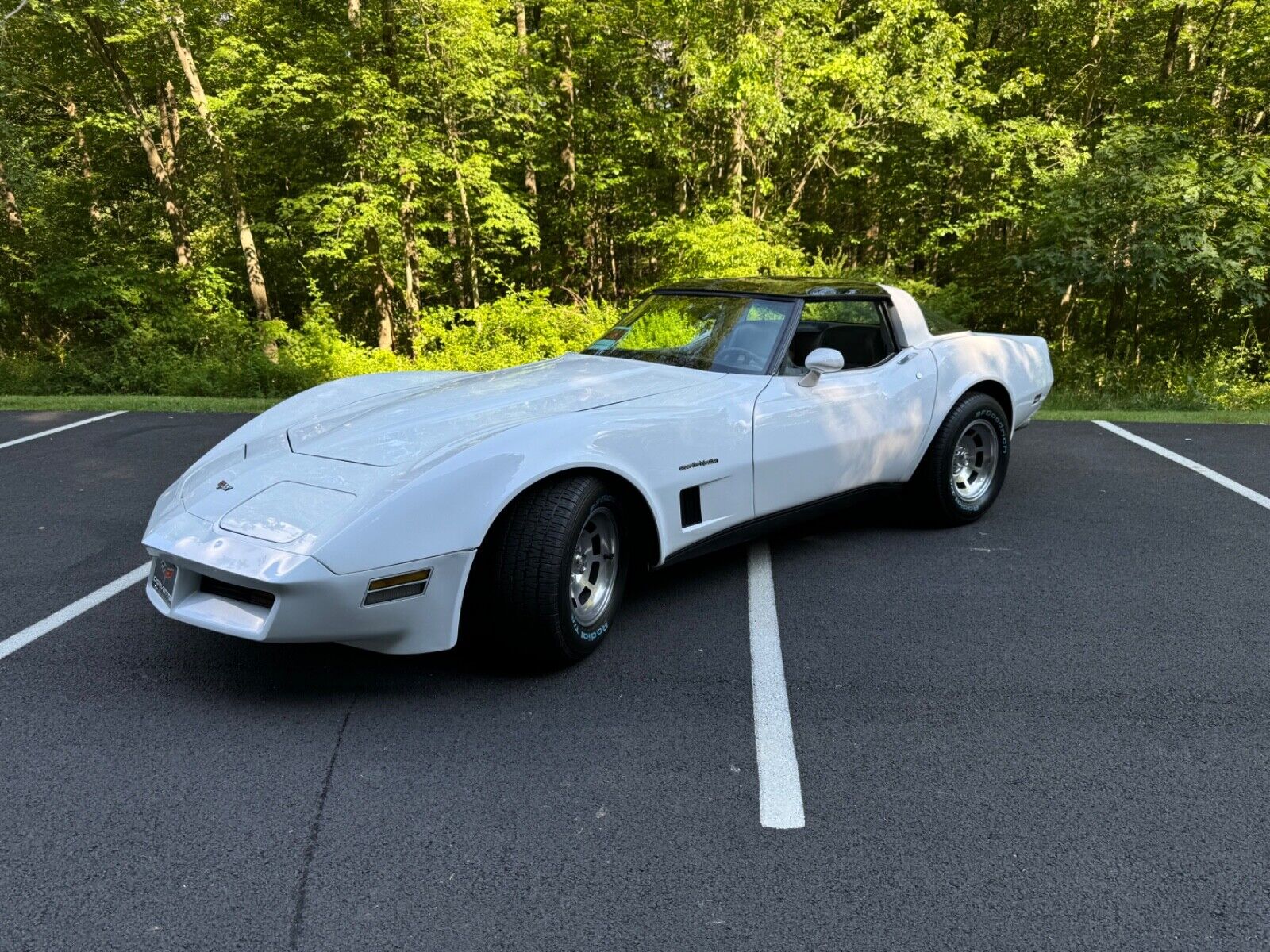 Chevrolet Corvette Coupe 1982 à vendre