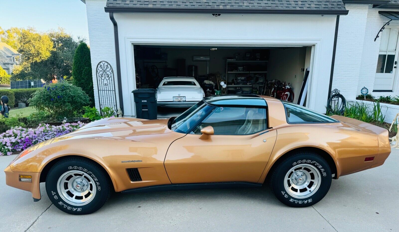 Chevrolet-Corvette-Coupe-1982-13