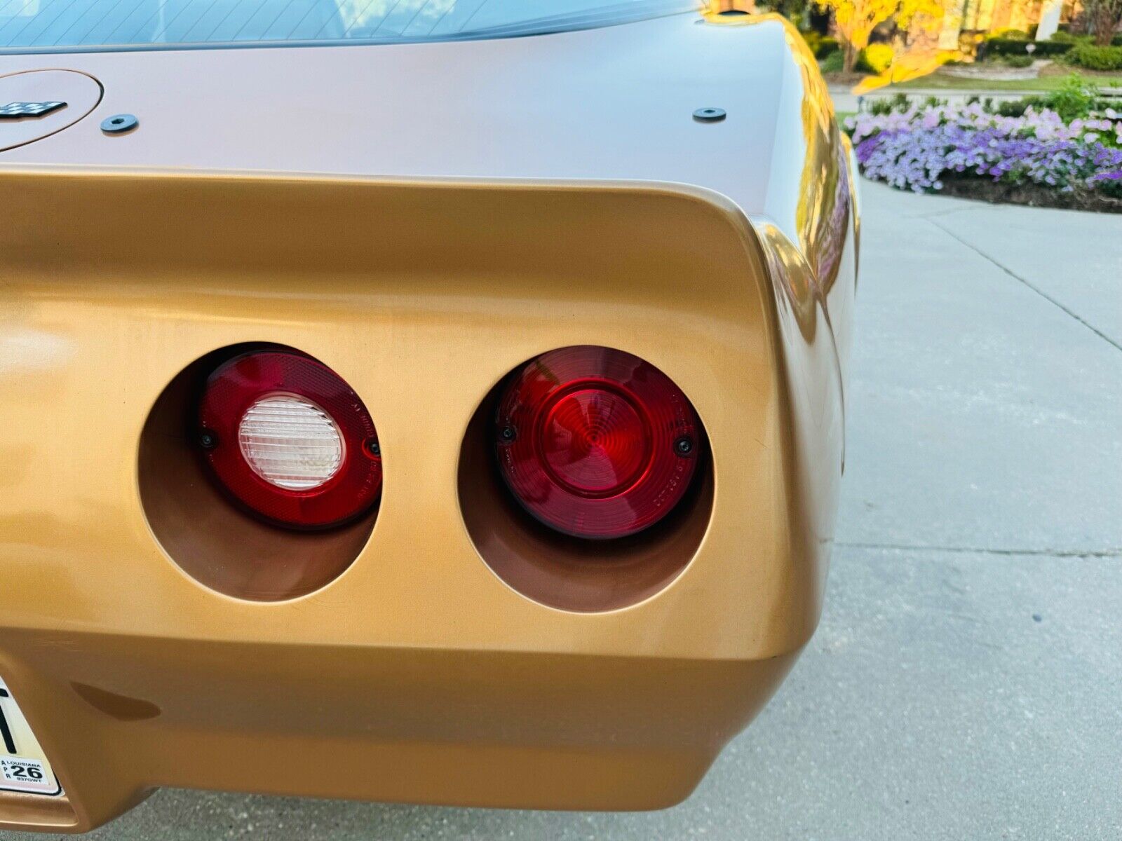 Chevrolet-Corvette-Coupe-1982-28