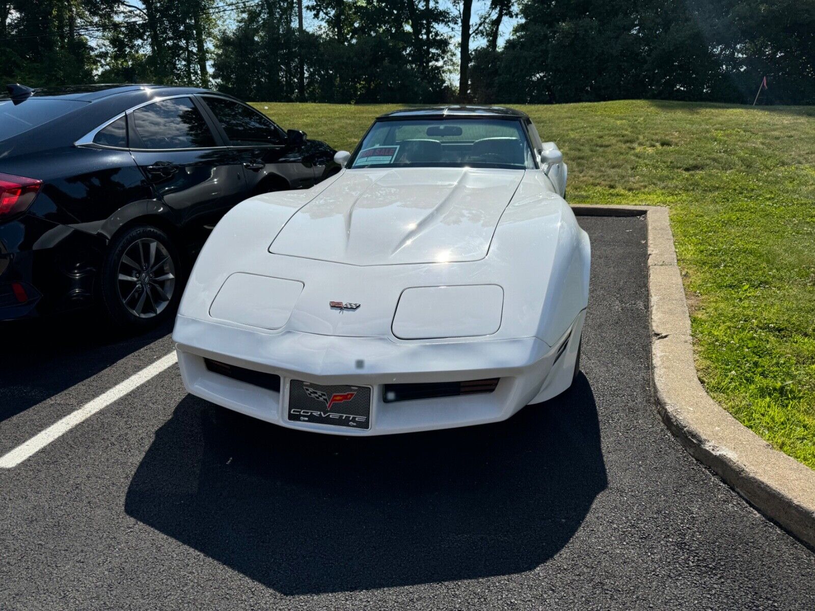 Chevrolet-Corvette-Coupe-1982-3