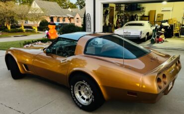 Chevrolet-Corvette-Coupe-1982-36