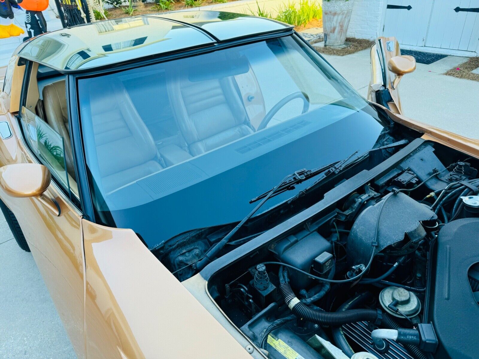 Chevrolet-Corvette-Coupe-1982-39