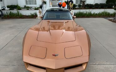 Chevrolet-Corvette-Coupe-1982-4