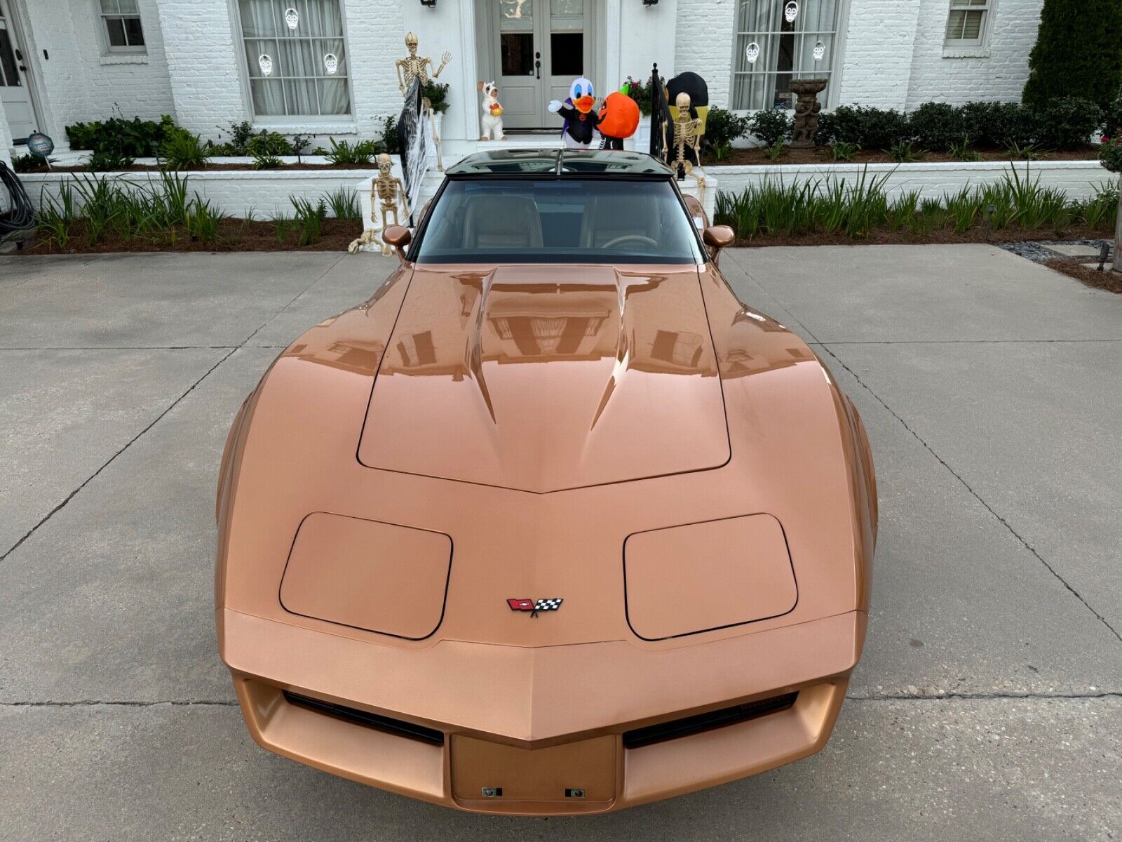 Chevrolet-Corvette-Coupe-1982-4