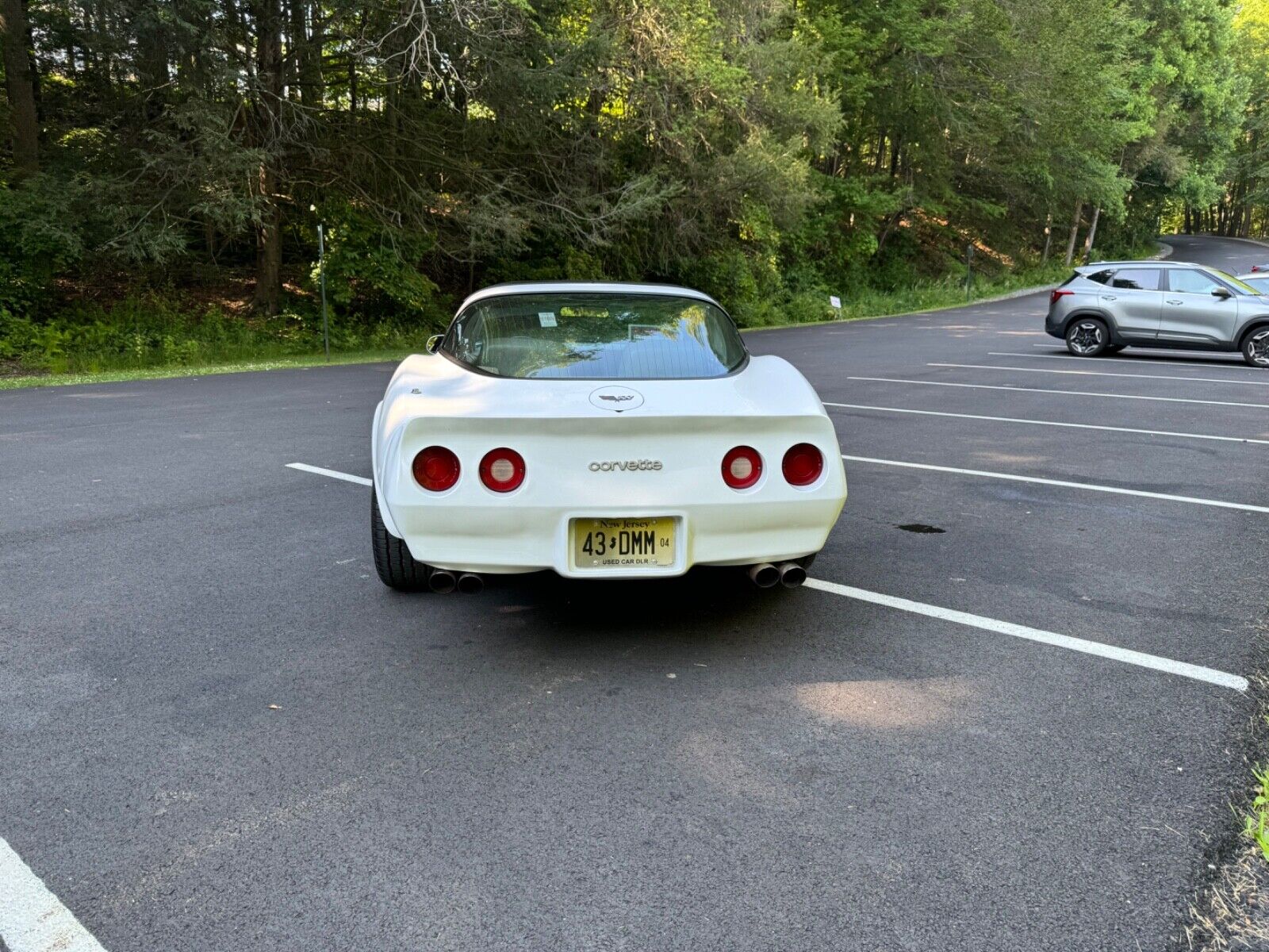 Chevrolet-Corvette-Coupe-1982-5