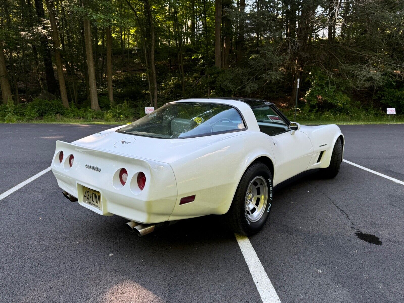 Chevrolet-Corvette-Coupe-1982-6