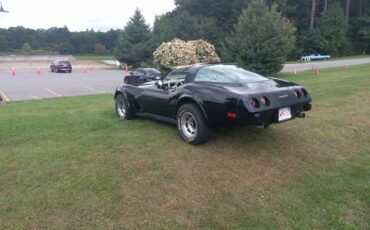 Chevrolet-Corvette-coupe-1979-4