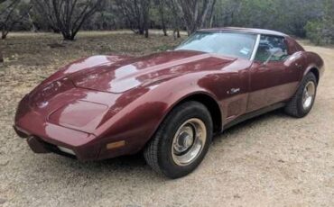 Chevrolet-Corvette-diesel-1976-2