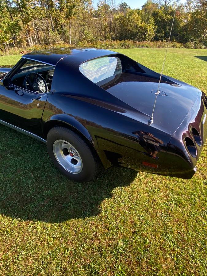 Chevrolet-Corvette-stingray-1977-12