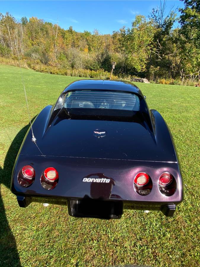 Chevrolet-Corvette-stingray-1977-13