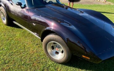 Chevrolet-Corvette-stingray-1977-15