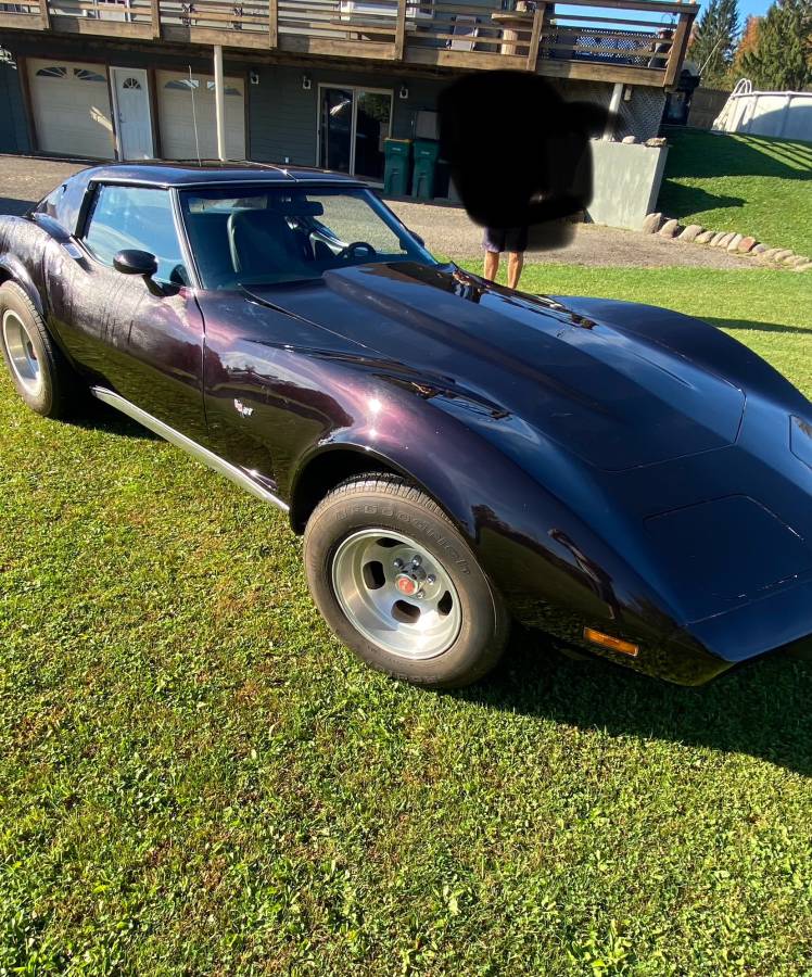 Chevrolet-Corvette-stingray-1977-15