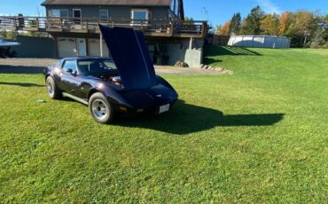 Chevrolet-Corvette-stingray-1977-19