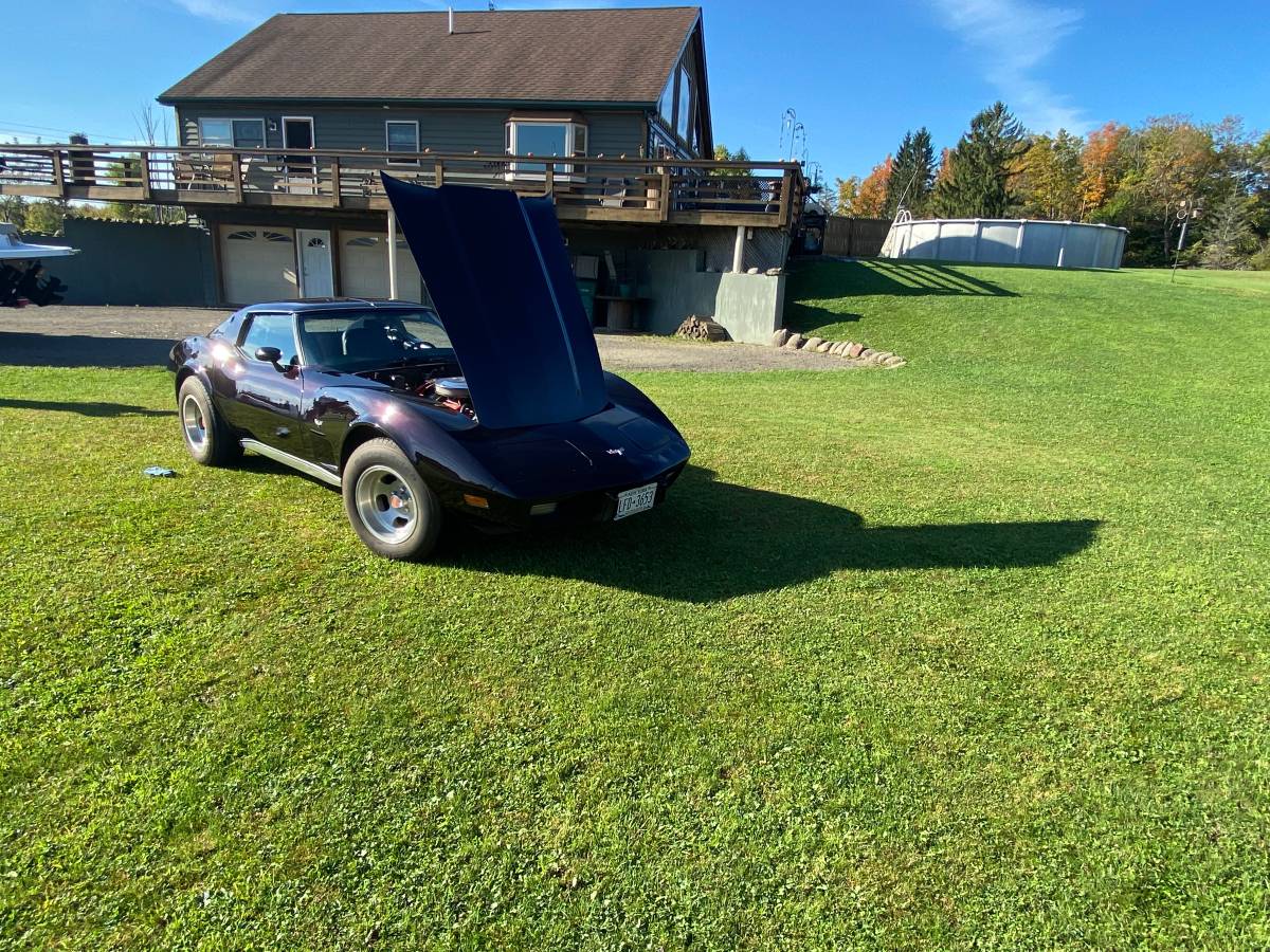 Chevrolet-Corvette-stingray-1977-19