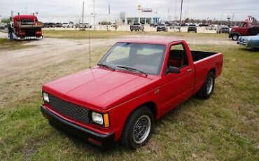 Chevrolet Custom Pickup  1989