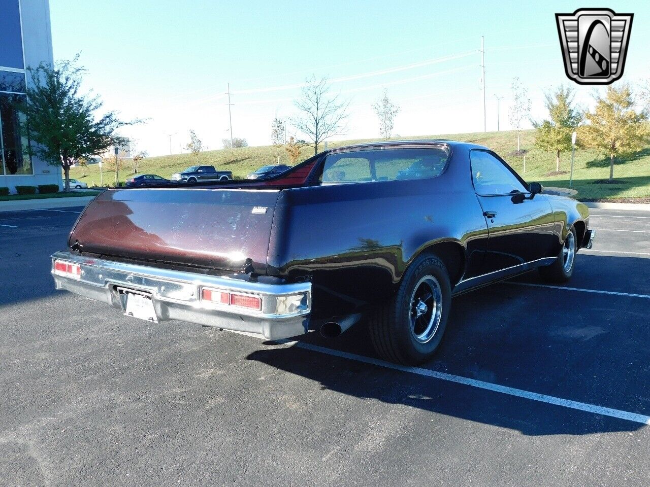 Chevrolet-El-Camino-Pickup-1976-5