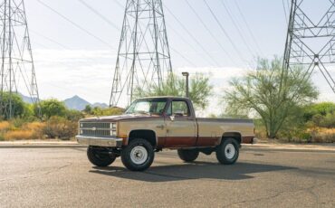 Chevrolet-K-20-1982-10