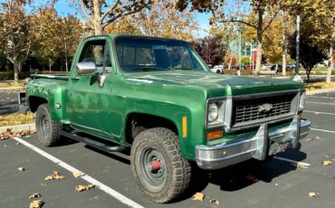 Chevrolet-K10-1974-2