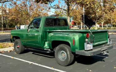 Chevrolet-K10-1974-7