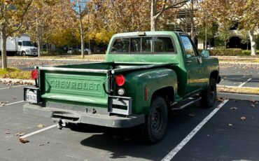 Chevrolet-K10-1974-9