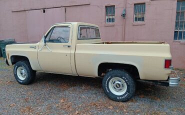 Chevrolet-K10-1978-1