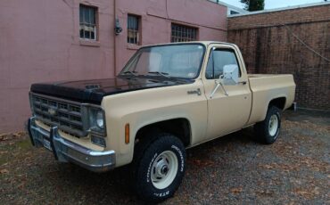 Chevrolet-K10-1978-2