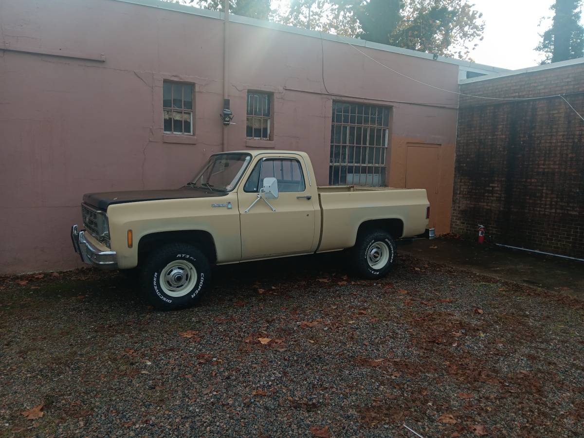 Chevrolet-K10-1978-3