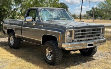 Chevrolet-K10-1980-2