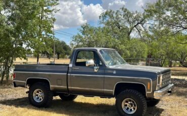 Chevrolet-K10-1980-3