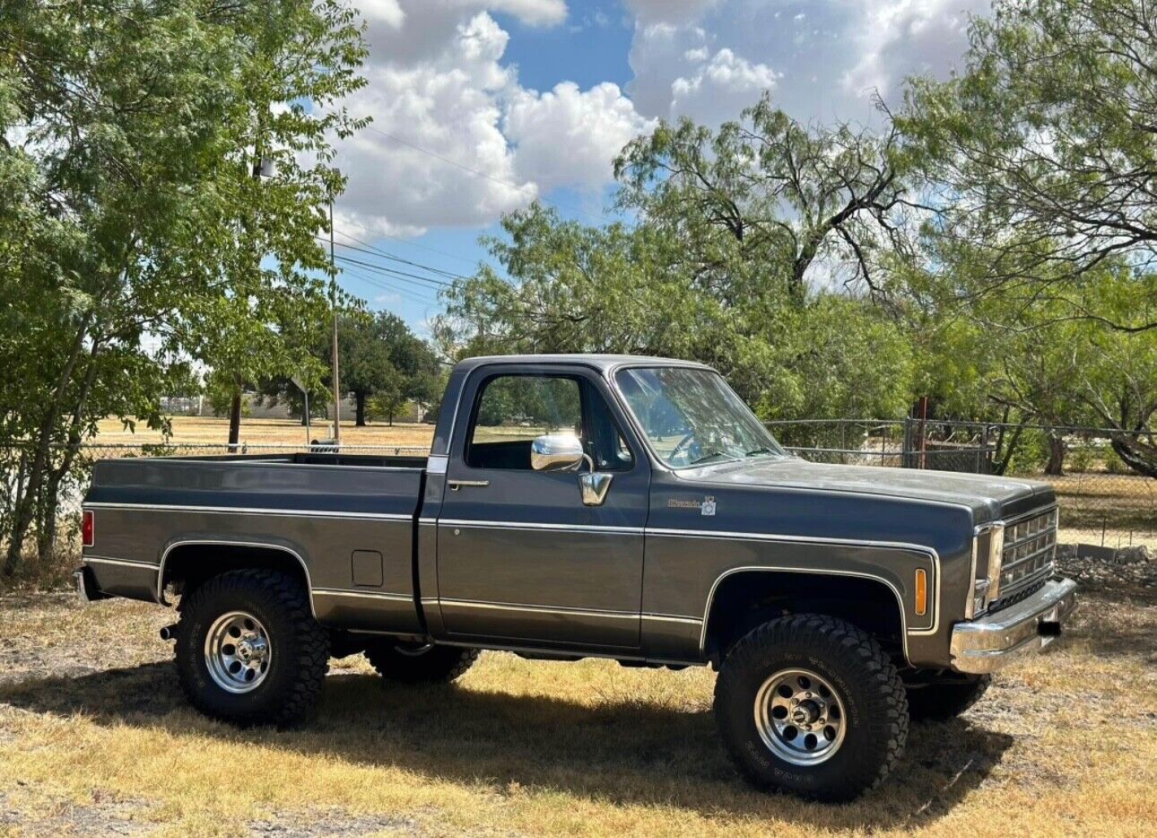 Chevrolet-K10-1980-3