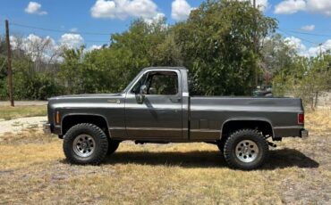 Chevrolet-K10-1980-4