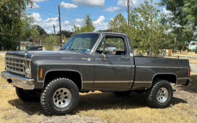 Chevrolet K10  1980 à vendre