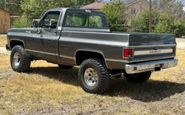 Chevrolet-K10-1980-5