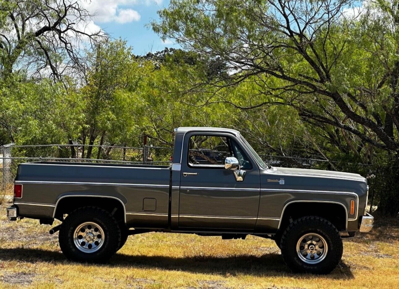 Chevrolet-K10-1980-6