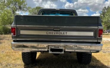 Chevrolet-K10-1980-7