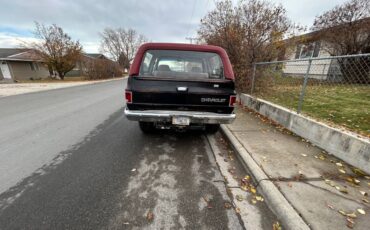 Chevrolet-K5-blazer-1981-3