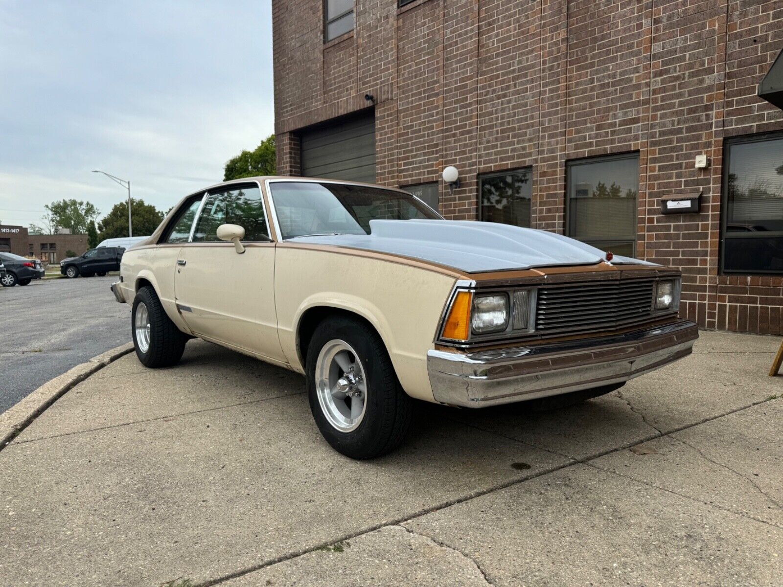 Chevrolet-Malibu-Coupe-1980-5