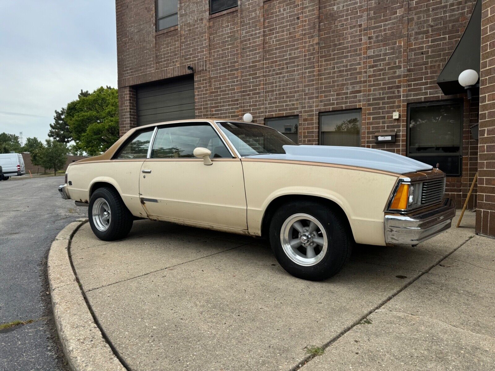 Chevrolet-Malibu-Coupe-1980-6