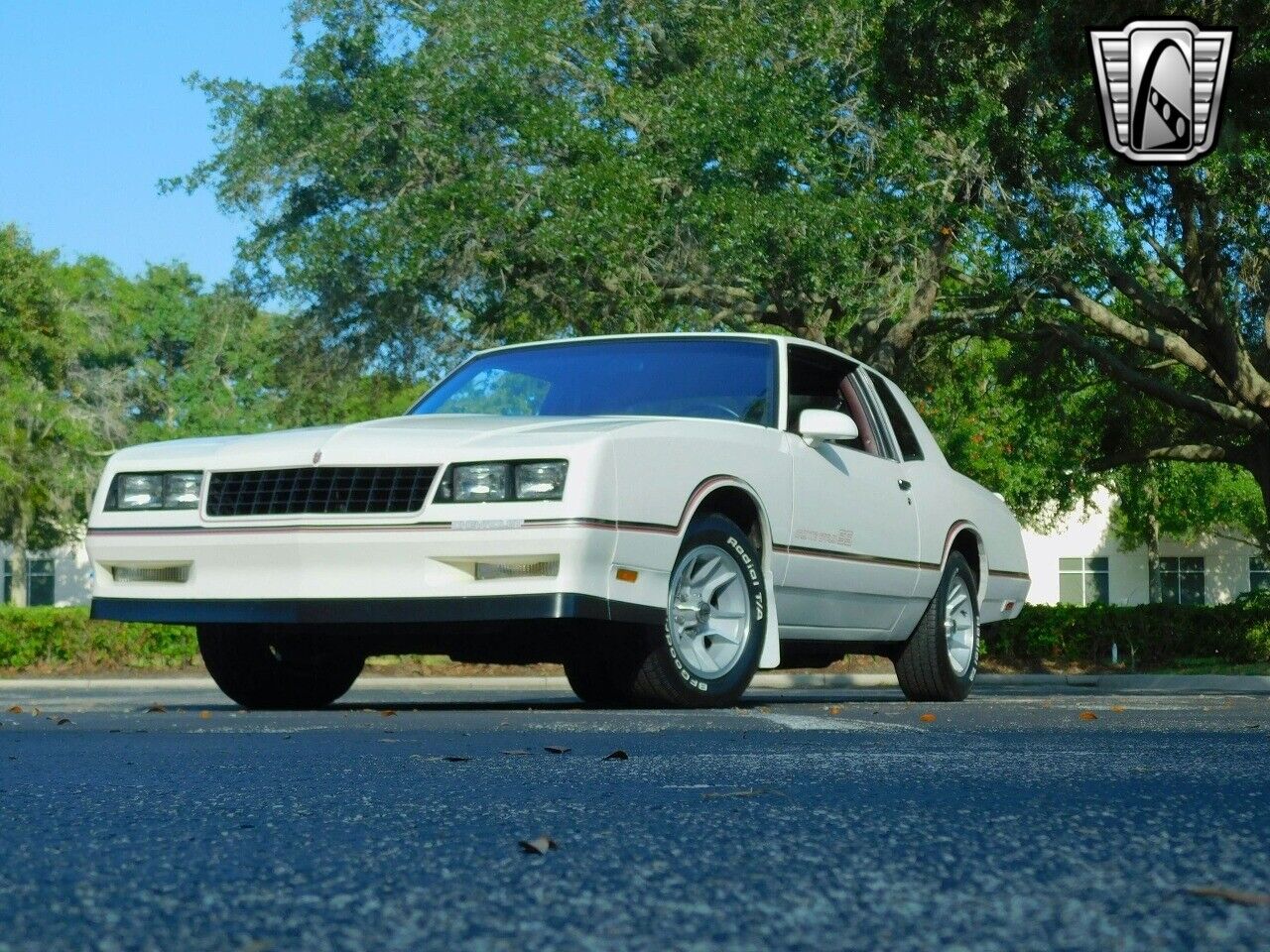 Chevrolet-Monte-Carlo-1986-2