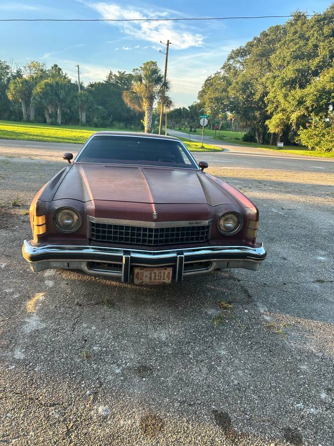 Chevrolet-Monte-carlo-1974-4