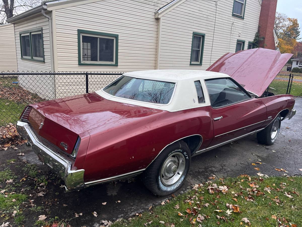 Chevrolet-Monte-carlo-ls-1973