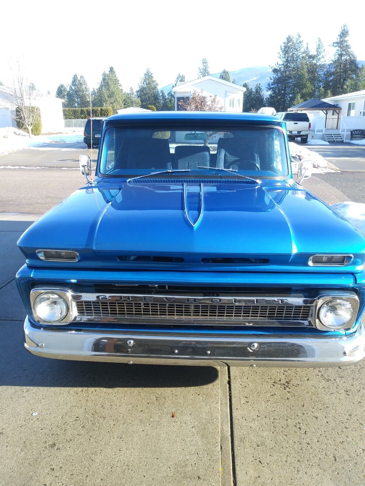 Chevrolet Other Pickups  1964